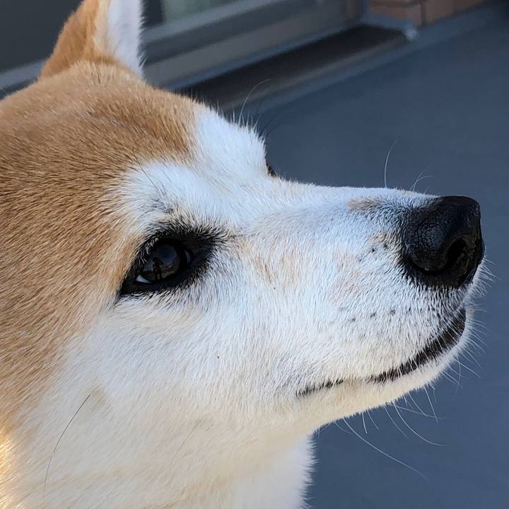 8126285b d692 4d91 a296 369ef65cd04c 1553064516977