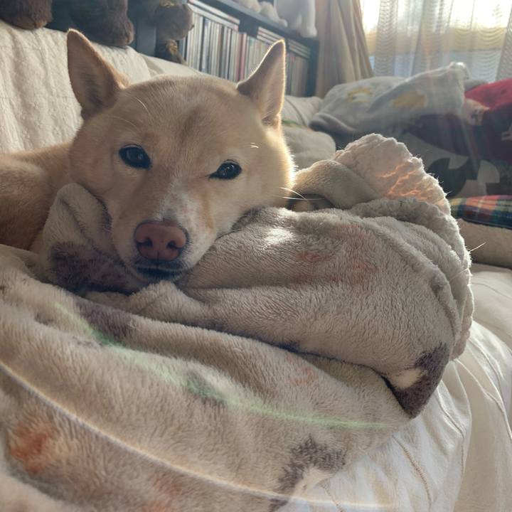 81264b48 a974 4157 b029 9bf515b5d1c7 1646178440901