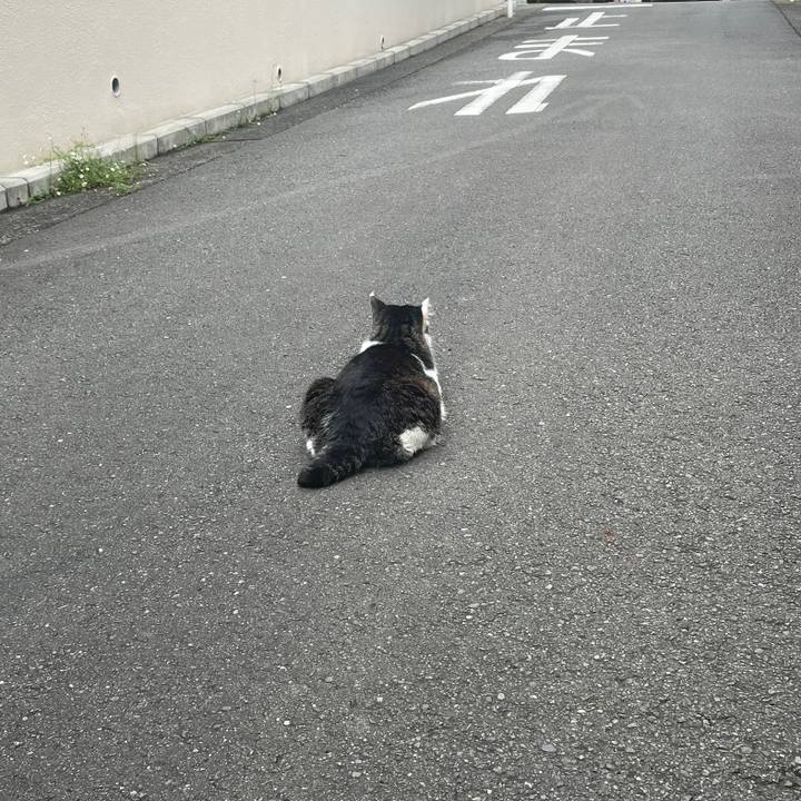 81265493 8e84 48f8 b793 8c88affdfbb9 1655984258950