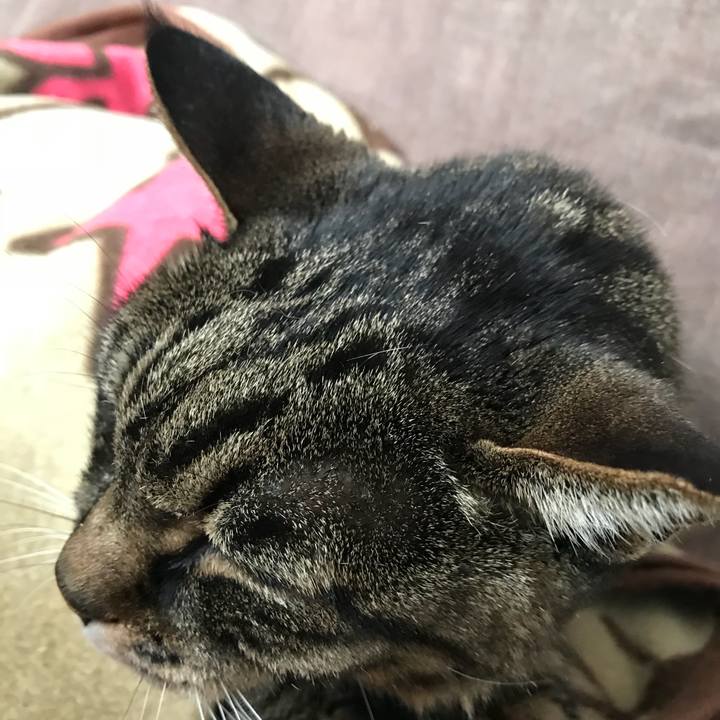 81266017 5ace 44d5 b791 d13a037b3df3 1522639672219