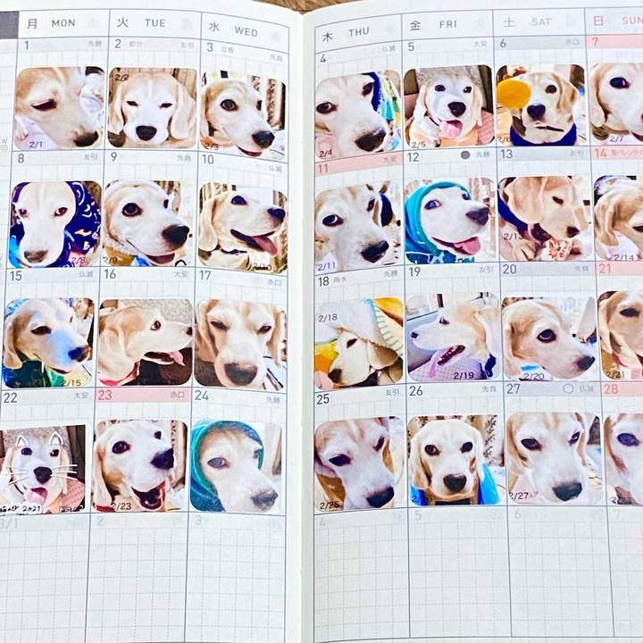 81267fb9 e168 4162 914d 9d5b8d1a9196 1617199244302