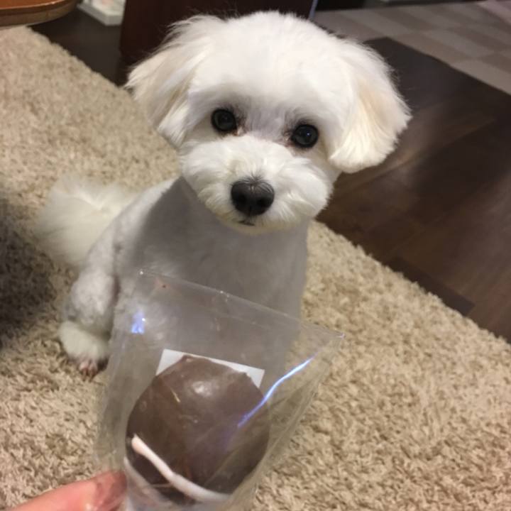 81268574 d5d8 483d 902e 54102037fdc6 1559032548396