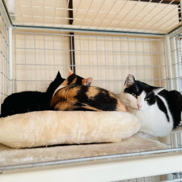 8126a258 f44f 4859 b01e efd01fa58751 1708049506113