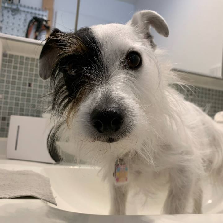 81271ddf 81f7 4c73 b8bc 3662882191e2 1651364008400