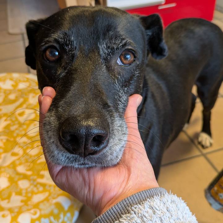 81278eb3 5419 44e1 b982 a61859344069 1737364105004