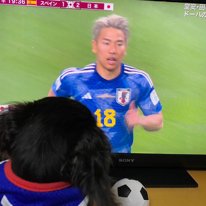 8127b793 526e 4d7b af8e 1a86822e33fc 1669926225292