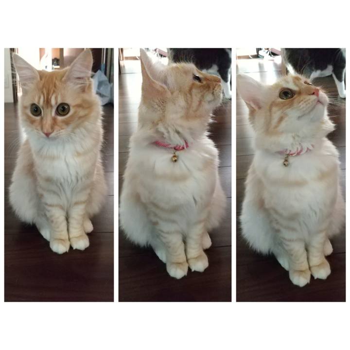 8127bf4e 3420 4f63 9e49 c13e62e432d6 1615936739893