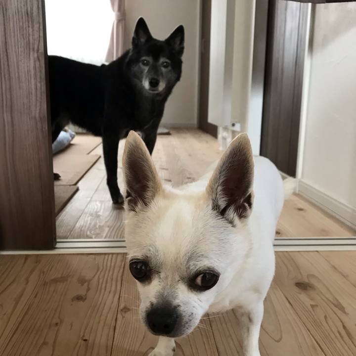 812827b9 70b7 4ab5 a1c4 6c874f9ba97b 1644023943566