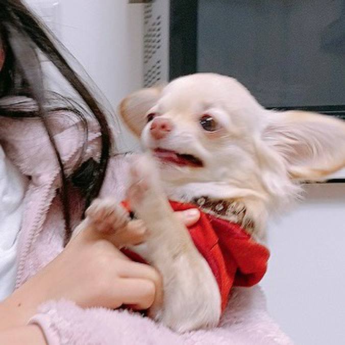 81285a18 451c 47fc ae38 9bae83abac97 1611534249927