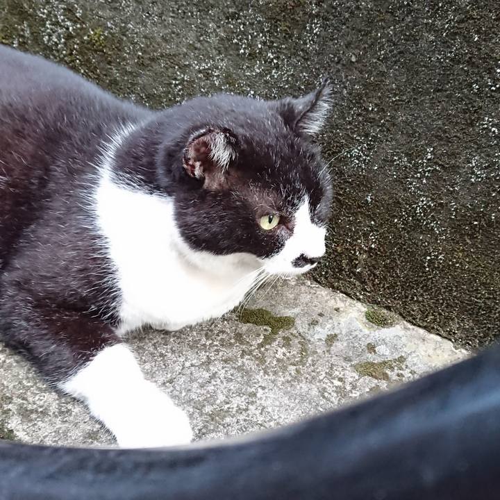 81286532 1288 4be6 b877 1a3967980f3b 1627550865701