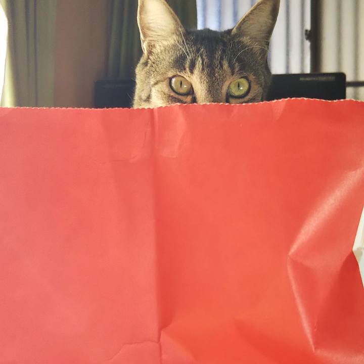 81286ba6 a262 497a bef5 2a3fd657d77f 1602319930322