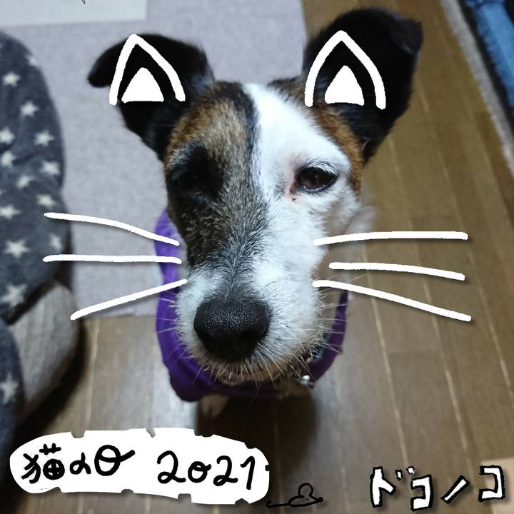 81288bed f5f3 4a3c 955d 2c64d19b710f 1613992518280