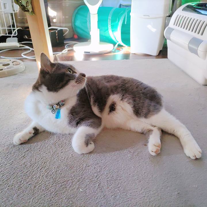 8128a11b 0dd6 47af 8933 84715fc011ae 1682719116387