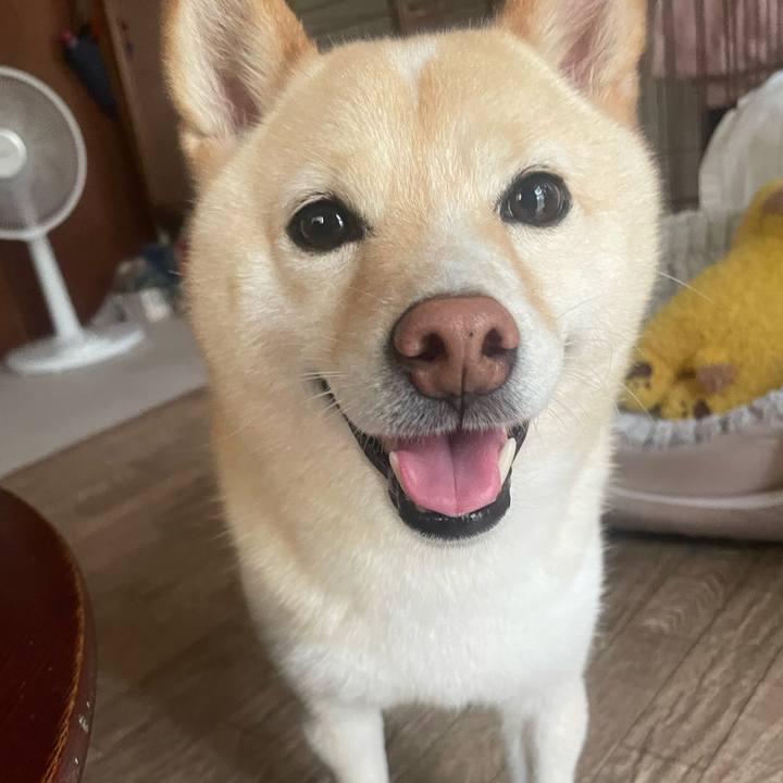 8128b7ee 2362 4ac9 b29a 71bcef683d7e 1660434512388