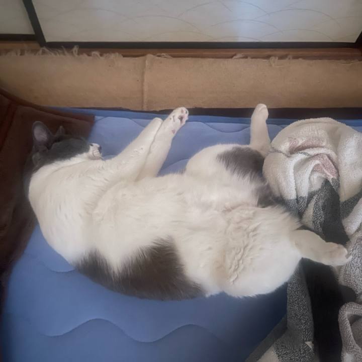 8128c683 6dce 4912 9ac2 49d1b794a82f 1656459383713