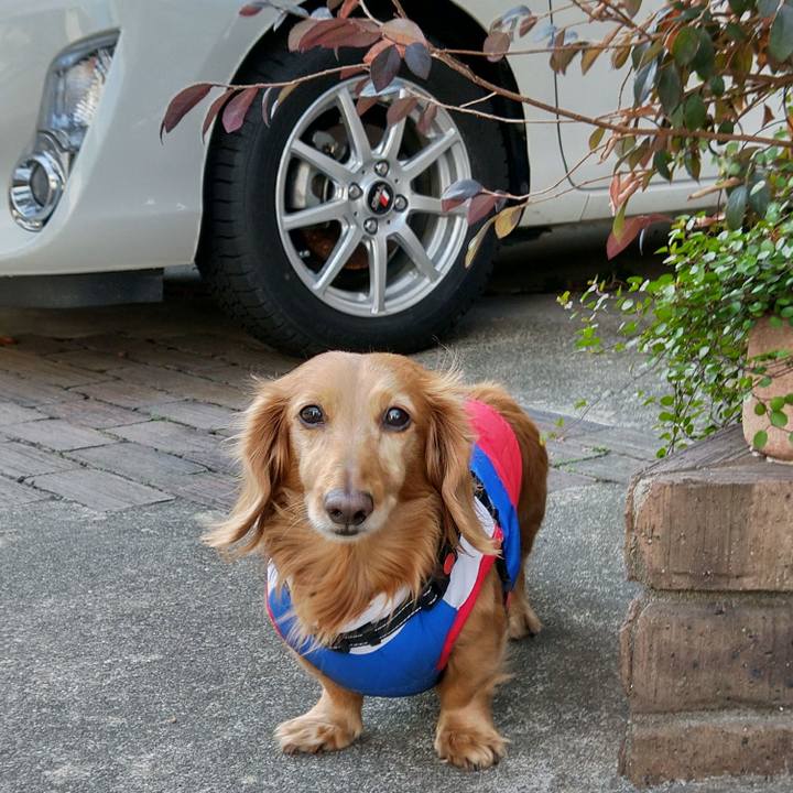 8128d265 8fa4 49d4 97ef 959c723e83f1 1706084927391