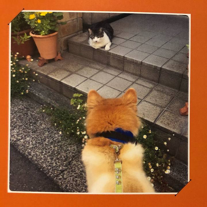 8129140f 8b6d 4f49 8018 49dc8c8a8768 1593597622690