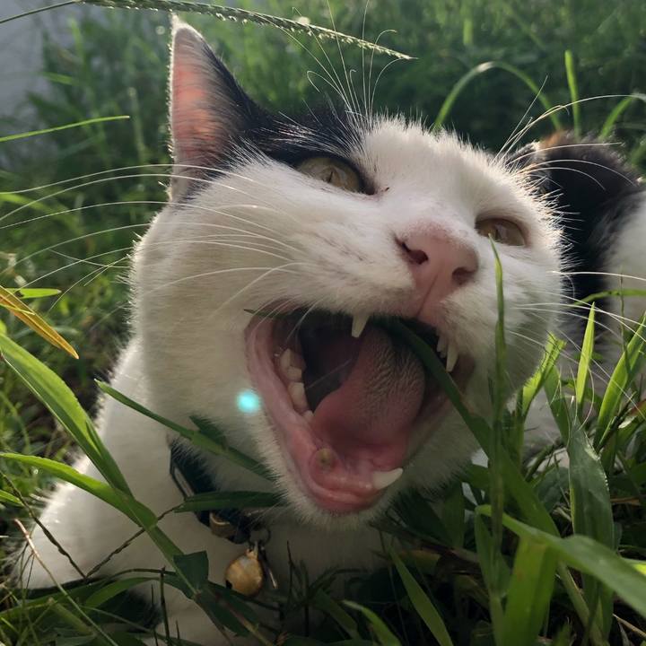 8129156a ad7d 46dc 82a0 4686460c329b 1757340601731