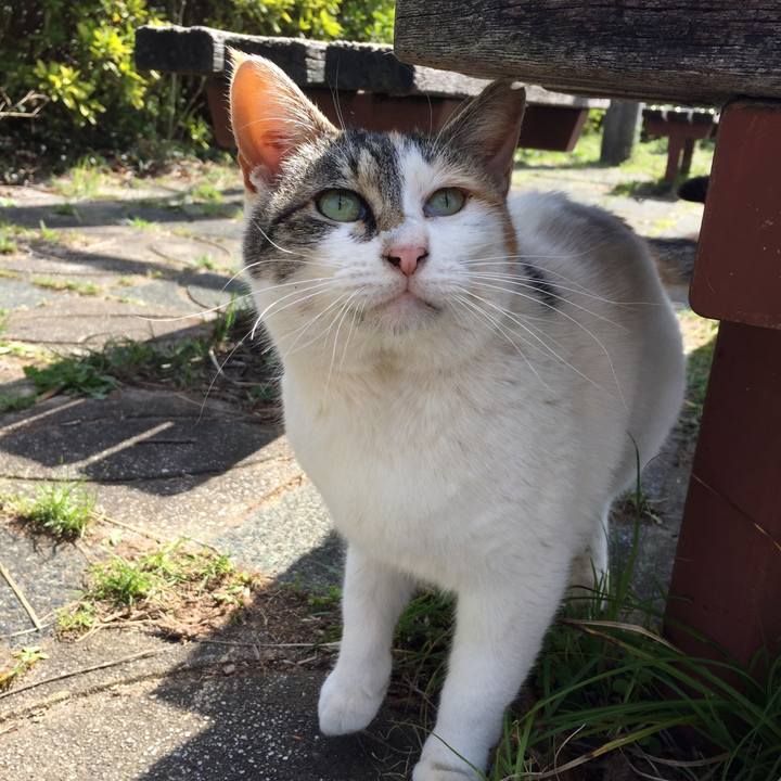 81292fc6 feb1 46b8 a88b ef8669cc1316 1584772863331