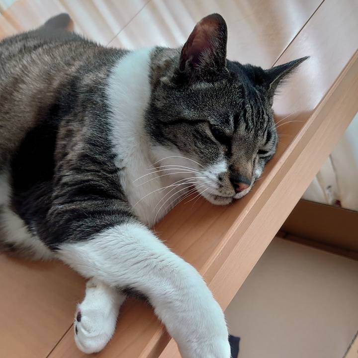 812942fa f15f 4c27 ab6a 4a7e5dde587b 1719621708094