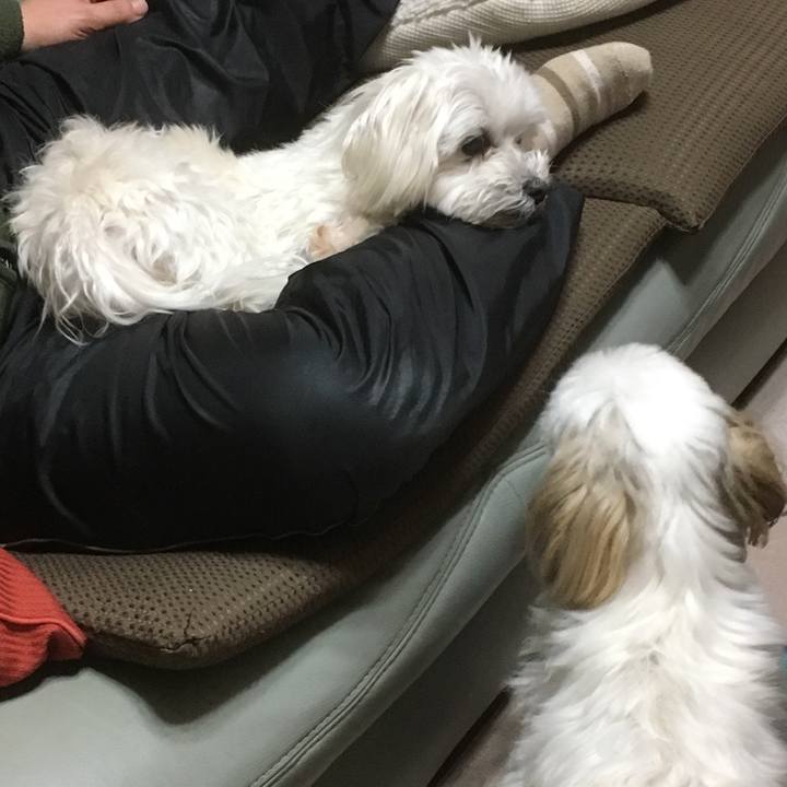 81295b2b 186f 4563 a41d 5391f125f505 1520683730763