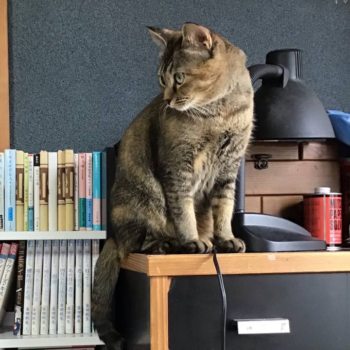 81299e4b 3264 4d61 820a fb434a32a14a 1635756605836