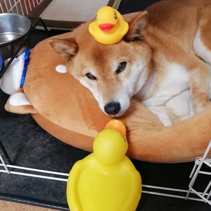 8129af3a 9ff6 44bd aa46 28cf7773d0d9 1618277677165