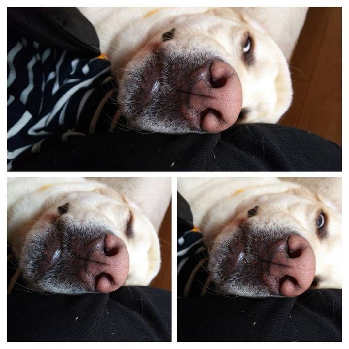 8129ca09 a29e 4448 9f30 505adc61b14e 1541566454454