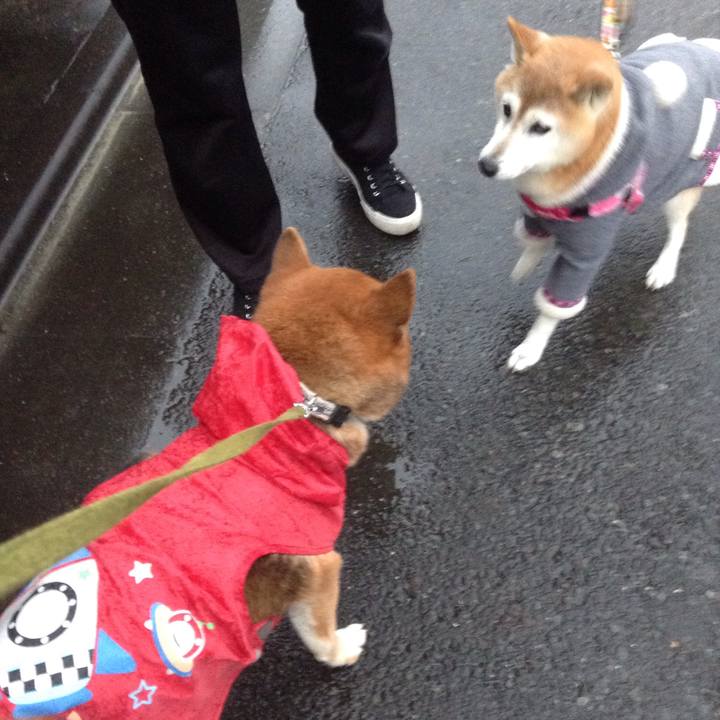 8129d38e f1d5 4519 827c 572878870806 1579333675712