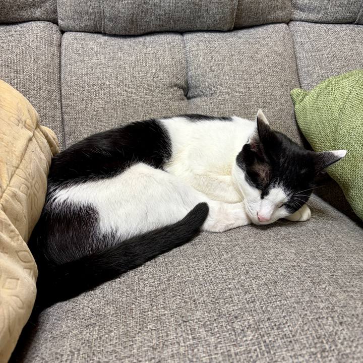 8129e7ce 88bc 43be b250 2c222139faaa 1761372505131