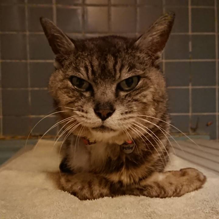 812a14ed eb05 48c5 b047 75e84843dece 1597226511625