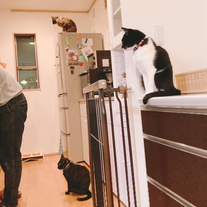 812a1f1c f8b3 4dd6 b2e5 b729a294b78d 1555587090662