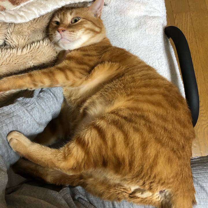 812a267d 4f76 454d 8989 2a531aeb15d2 1618834793590