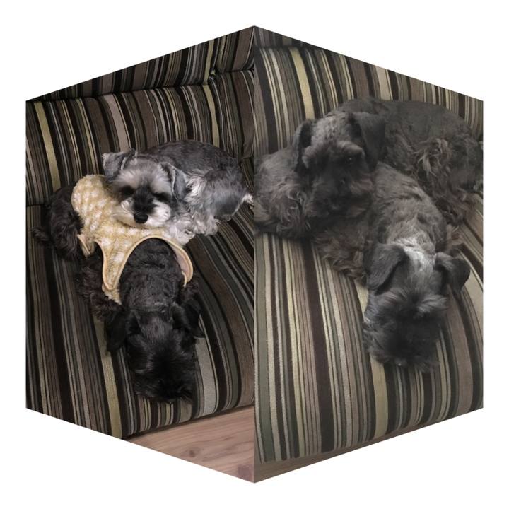 812a6a65 3664 408a b02a 60776cea5573 1675252081737