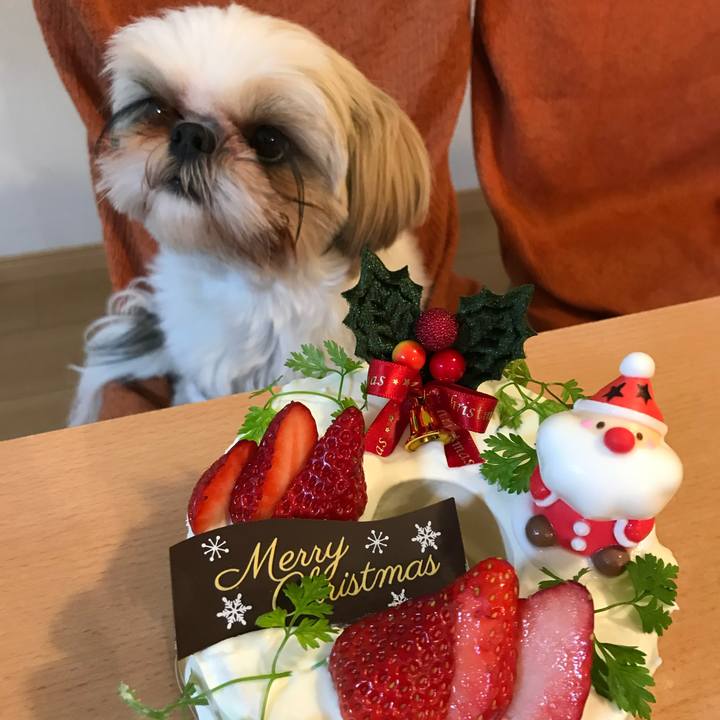 812a7aea c102 4f40 99f9 130875ea6617 1608911306171