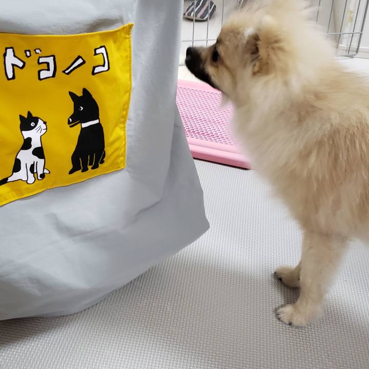 812a9591 5c4d 4530 85b6 f5e52c7423e6 1618631904574