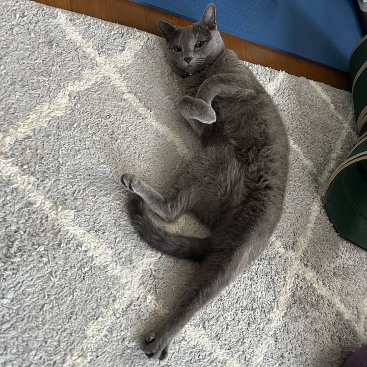 812a96b5 81b1 46e7 895d 8e6435e46b70 1716850401941