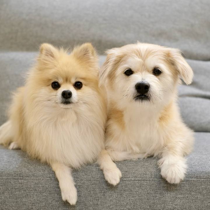 812aaa59 8def 4367 a5c0 8096c5ef6eec 1768515508633