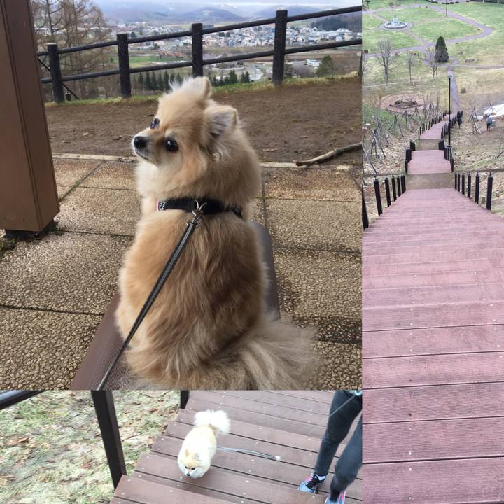 812abf8d e938 498d 9cc9 ec2d405c1f20 1556763176119