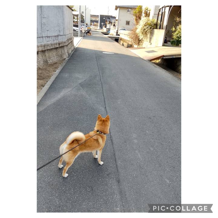 812ad073 aaa4 440e b832 86bbb30b2988 1710549348043