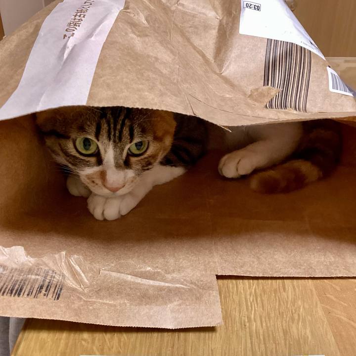 812adf25 3ea3 4b4a b803 fe14d97d173e 1757199806373