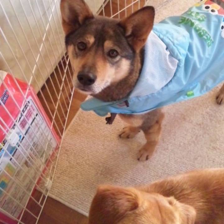 812b0c7e c1a1 43e7 8831 d890db9c03a6 1517648871030