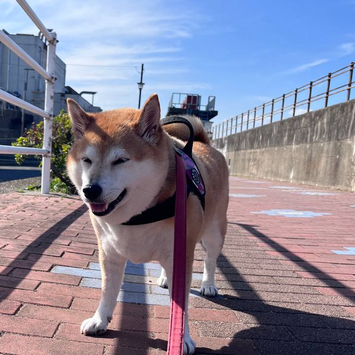 812b2289 1c17 419e 801c fbe1bf4f15c2 1699504214607