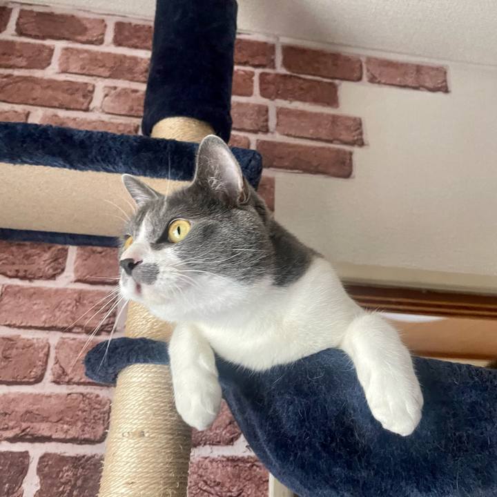 812b2cbf b6db 42f2 80ab 915539ec1e1e 1652255745821