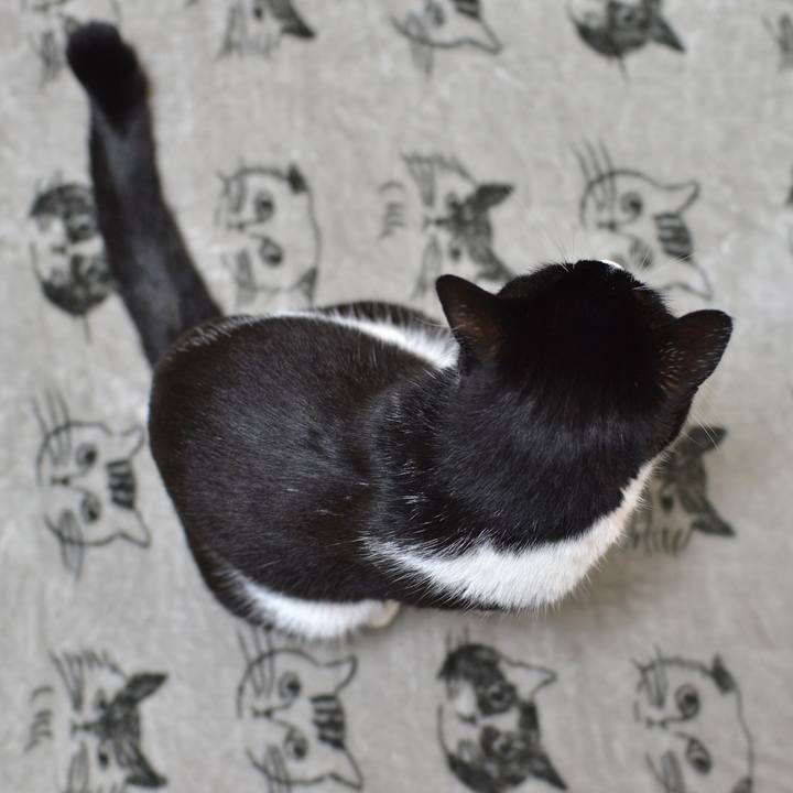 812b3e82 ddef 49d8 8fa3 3ac4e4d9302b 1544935223542