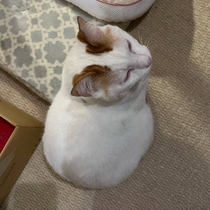 812b40c8 996d 4a7e 87a0 3c93229ecb57 1766846842996