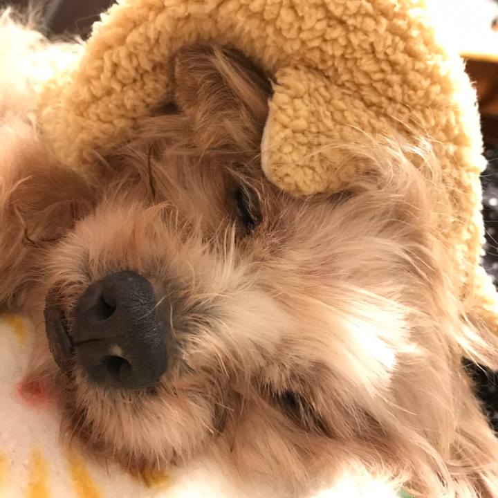 812b63b4 8047 4ff3 a1a2 3528f5df71ff 1552318856063