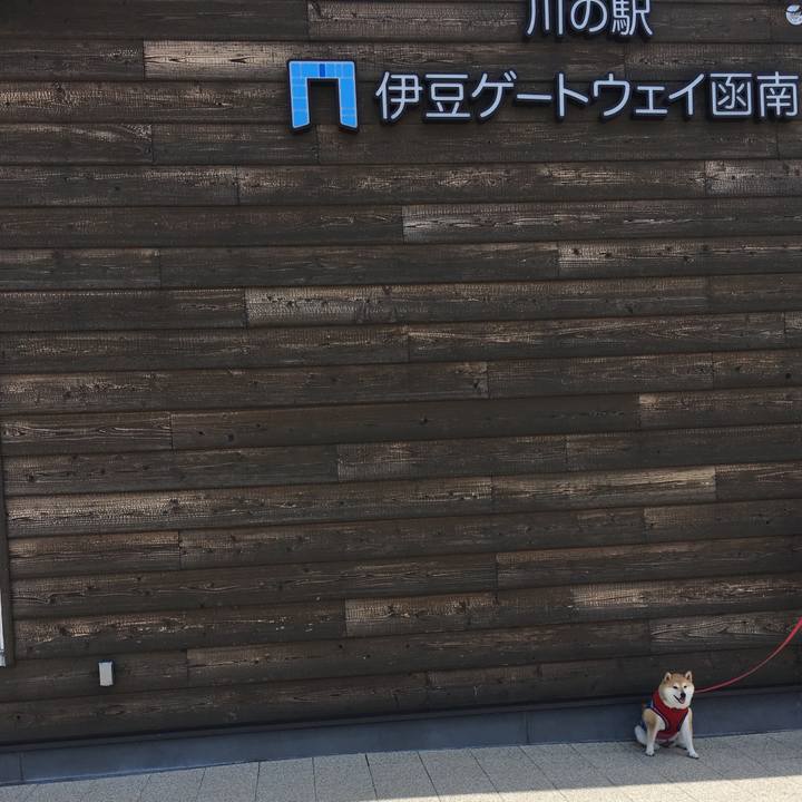 812b7c27 79b1 4c3b a0c2 ef7baf902ca0 1620527453418