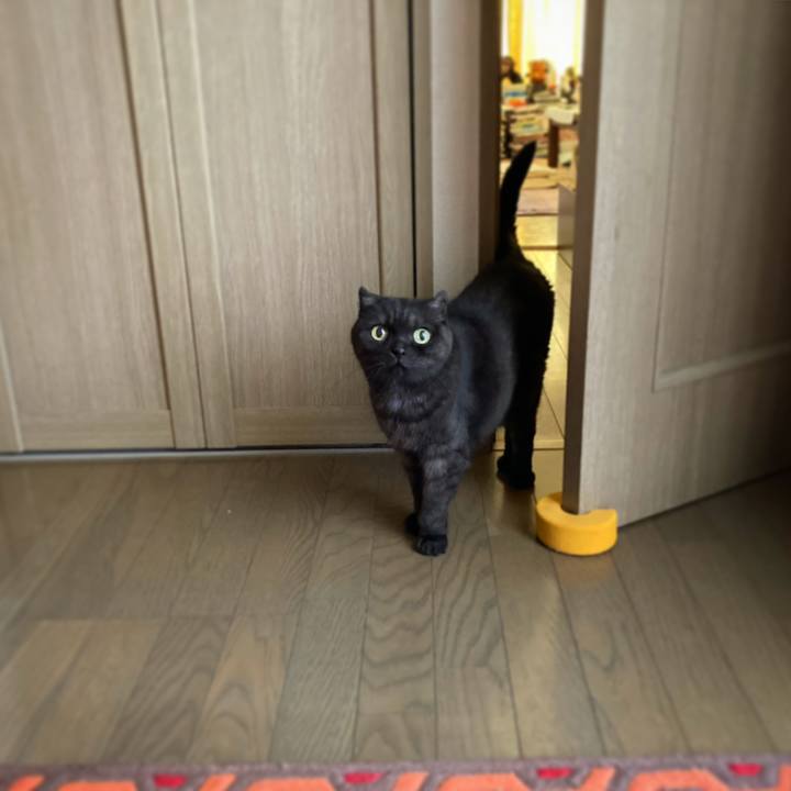 812b811d d891 4738 88b6 4a497ca55993 1598751618482