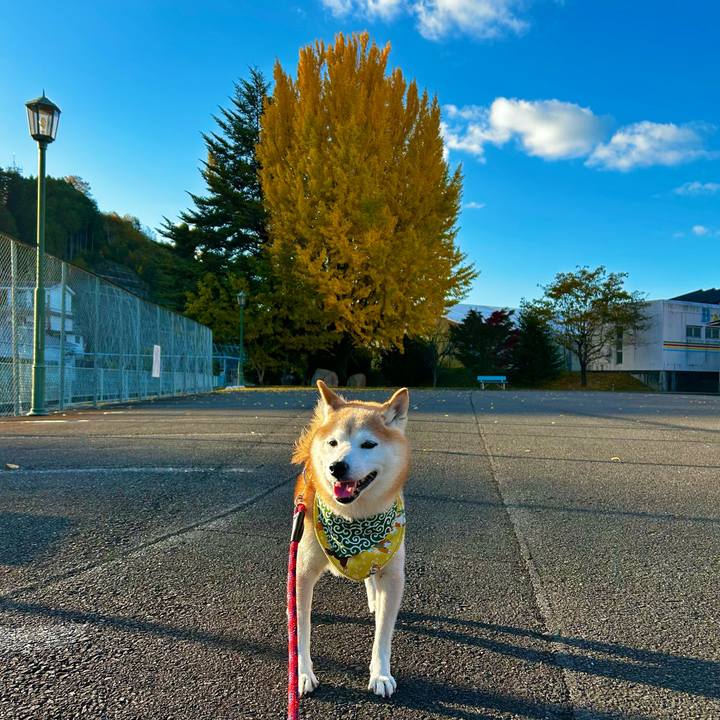 812ba9ca 0d99 4a05 bec4 c18ccf6f41da 1762851385007